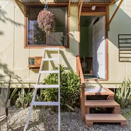 Container House Cahuita Hotel Eksteriør billede